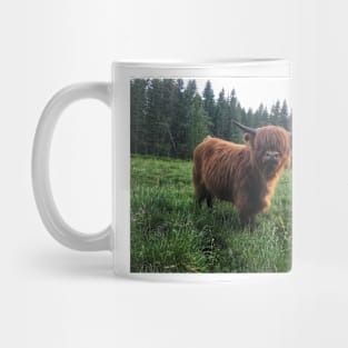 Scottish Highland Cattle Calf 2018 Mug